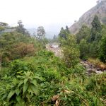 7-days-rwenzori-mountain-hike